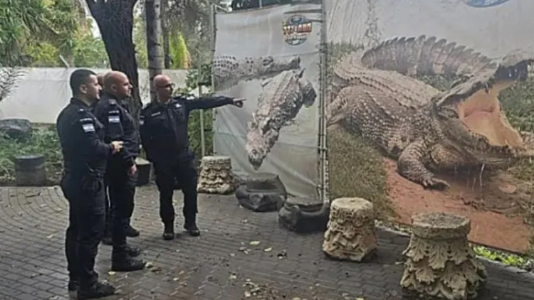 Ανοίγει ο δρόμος για τη χρήση κροκοδείλων γύρω από φυλακές στο Ισραήλ μετά από κυβερνητική απόφαση