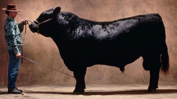 Ο πολιτισμός των γεύσεων