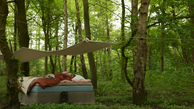 Κοιμήσου στην αγκαλιά της Φύσης