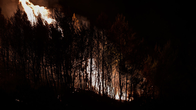 Εύβοια: Μαίνεται η μεγάλη πυρκαγιά - Εκκενώθηκε το χωριό Κρεμαστός