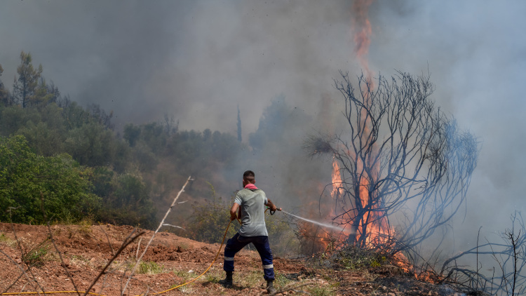 Φωτιά σε αγροτοδασική έκταση στον Κλαδά της Σπάρτης