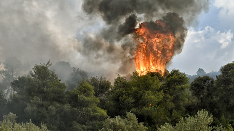 Πυροσβεστική: Σκληρές μάχες με τις φλόγες Ροδόπη και Άνδρο - Υπό έλεγχο τα μέτωπα στην Εύβοια