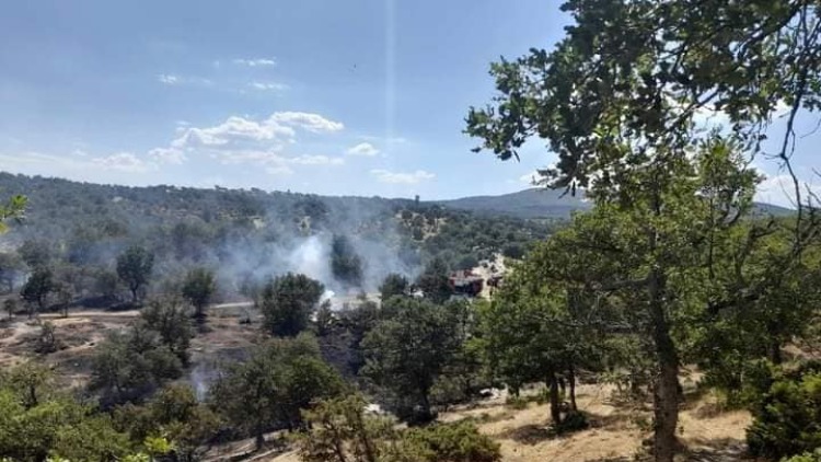 Υπό μερικό έλεγχο η φωτιά στο Σουφλί Έβρου - Δείτε βίντεο και φωτογραφίες