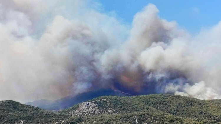 Φωτιά σε δασική έκταση στο Σοφικό Κορινθίας - Ενισχύθηκαν οι δυνάμεις, εστάλη 112, δείτε βίντεο