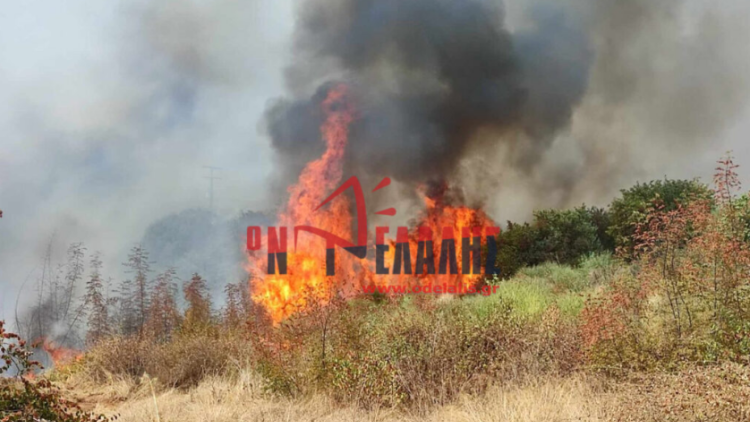 Σε εξέλιξη η φωτιά στην Πλάκα Λιτόχωρου Πιερίας, κοντά σε σπίτια οι φλόγες - Μήνυμα από το 112