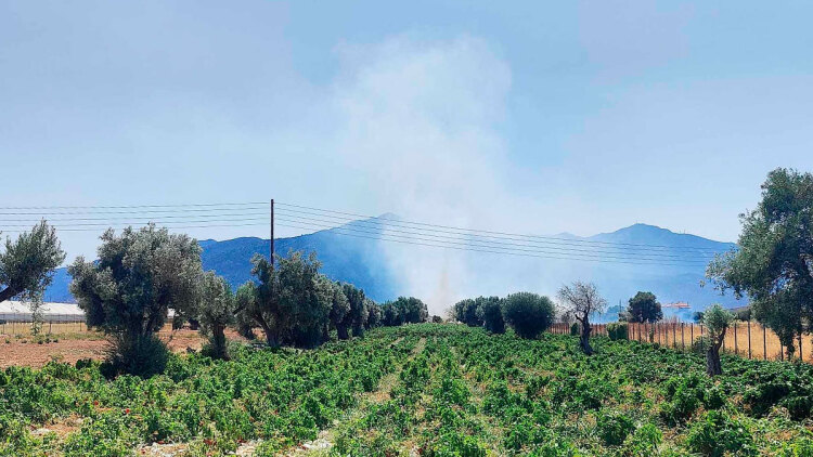 Μόνο καπνοί από τη φωτιά σε χορτολιβαδική έκταση στο Μαραθώνα - Σηκώθηκαν και εναέρια μέσα 