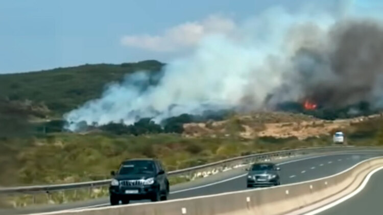 Βίντεο: Φωτιά σε δασική έκταση στην περιοχή Βασαίικα Ιωαννίνων - Καίει κοντά στην Ιόνια Οδό 