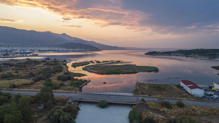 Σε ποιες παραλίες του Βόλου συνιστάται η αποφυγή κολύμβησης λόγω των νεκρών ψαριών