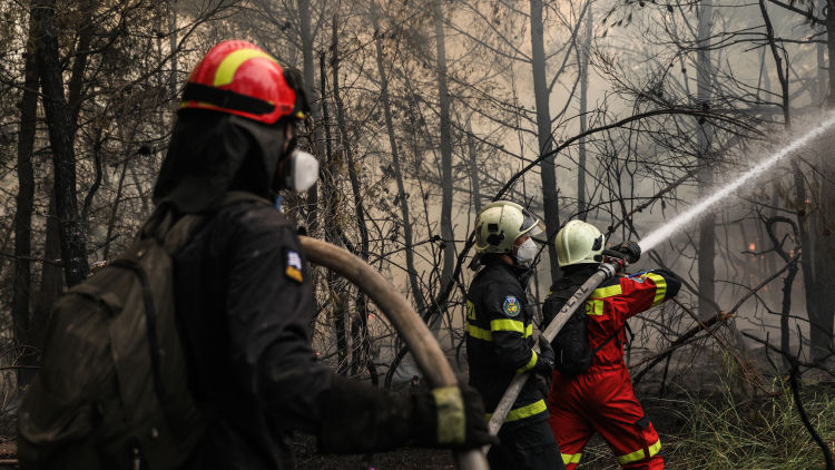 Πυροσβεστική: 23 πυρκαγιές εκδηλώθηκαν το τελευταίο εικοσιτετράωρο