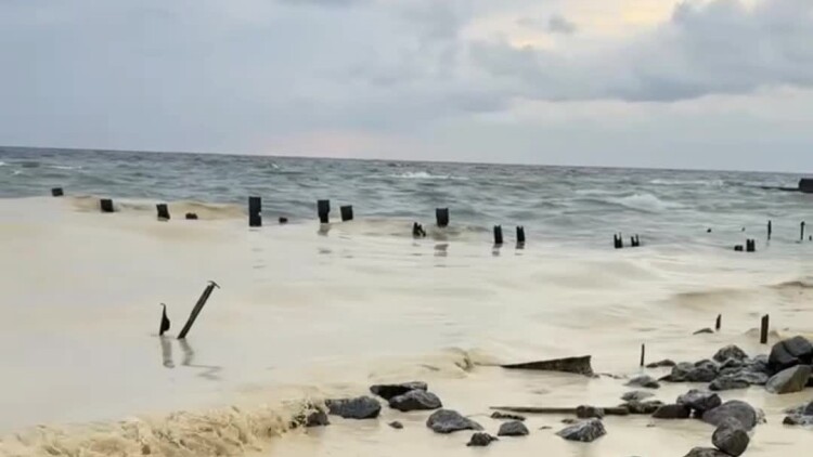Ρύπανση από ηλιέλαιο στη Μαύρη Θάλασσα μετά τα ρωσικά πλήγματα στην Οδησσό