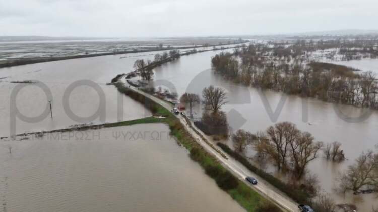 Έβρος: Πλημμύρισαν 60.000 στρέμματα στο Σουφλί, έσπασαν αναχώματα σε Κορνοφωλιά και Αμόριο 