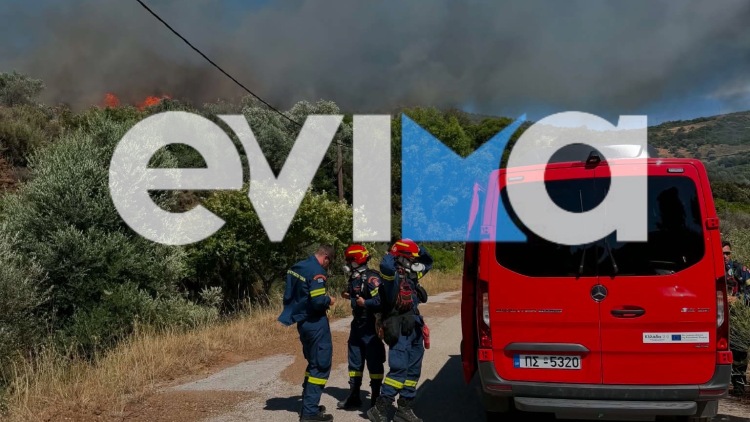Φωτιά σε δασική έκταση στην Εύβοια – Ισχυρές δυνάμεις στη μάχη της κατάσβεσης