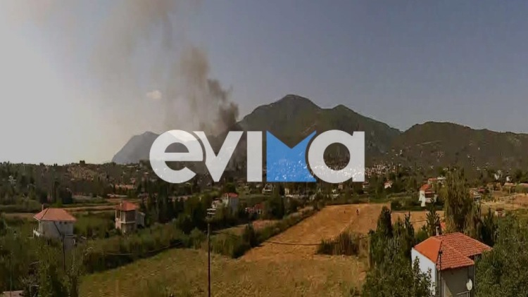 Φωτιά τώρα σε δάσος στα Πολιτικά Εύβοιας, σηκώθηκαν 5 εναέρια