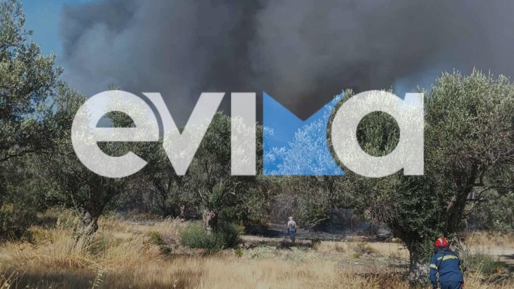 Φωτιά τώρα σε δάσος στα Πολιτικά Εύβοιας, σηκώθηκαν 5 εναέρια