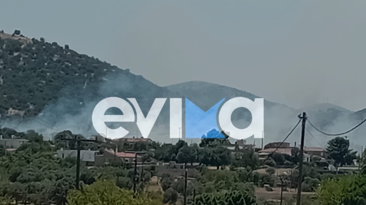 Φωτιά στην Εύβοια κοντά σε σπίτια και σε εργοστάσιο
