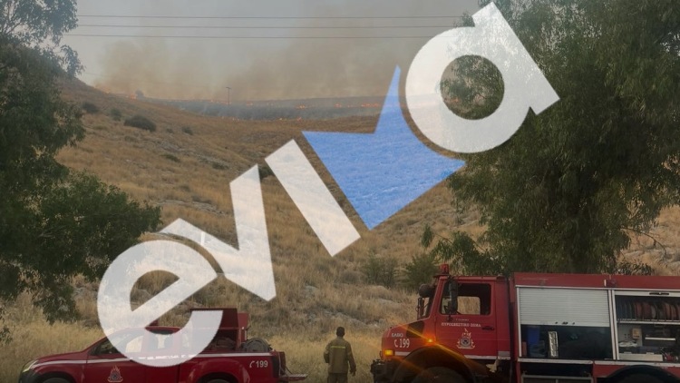 Φωτιά τώρα σε χαμηλή βλάστηση έξω από τη Χαλκίδα, κινητοποίηση της Πυροσβεστικής, δείτε βίντεο