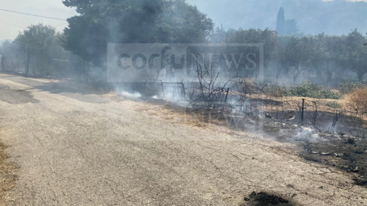 Φωτιά στο Τεμπλόνι της Κέρκυρας: 112 για ετοιμότητα, σηκώθηκαν 7 εναέρια