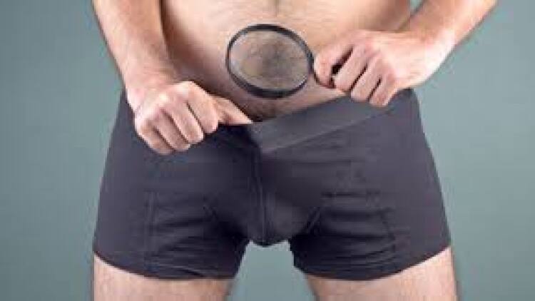 Women prefer penises that are slightly larger than average