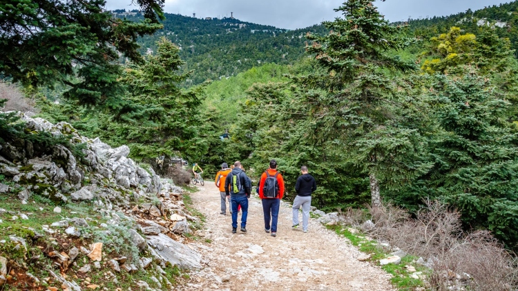 Επιχείρηση για τη διάσωση τριών ατόμων που έχασαν τον προσανατολισμό τους στην Πάρνηθα