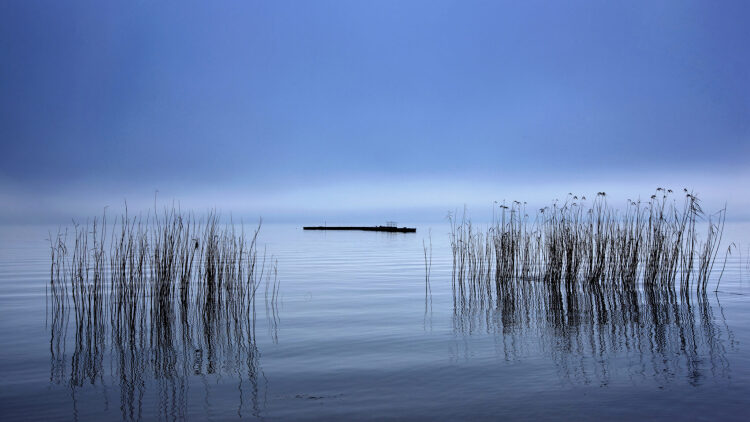 Βαρκάδα στα κατανυκτικά ασκηταριά της Μεγάλης Πρέσπας 