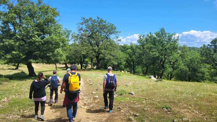 Οι κορυφαίες δραστηριότητες στο χειμερινό Μεσολόγγι