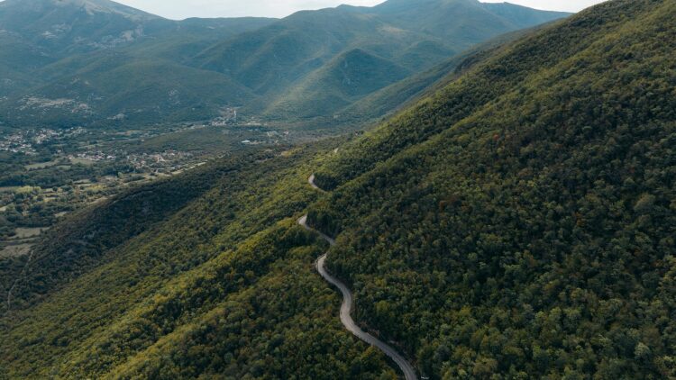 Άγρια άλογα και μαιανδρισμοί του Νέστου: Μια μοναδική διαδρομή στην ενδοχώρα της Ξάνθης