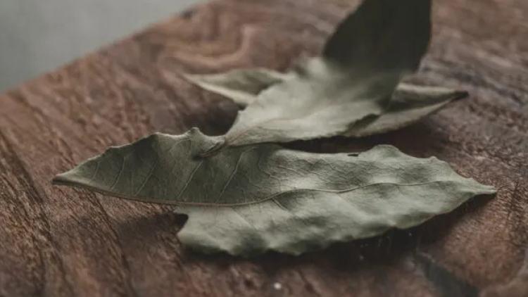 Γιατί να βάλετε φύλλα δάφνης στο πλυντήριο: Το μυστικό που κερδίζει όλο και περισσότερους θαυμαστές