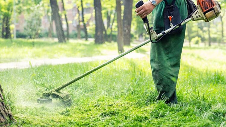 Η ενημέρωση του Δήμου Πατρέων για τον υποχρεωτικό καθαρισμό οικοπέδων, η προθεσμία και τα πρόστιμα