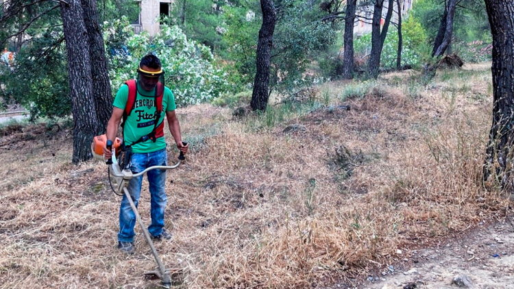 Τι αλλάζει στους καθαρισμούς των οικοπέδων με το νέο νομοσχέδιο - Πότε λήγει η προθεσμία για τους ιδιοκτήτες