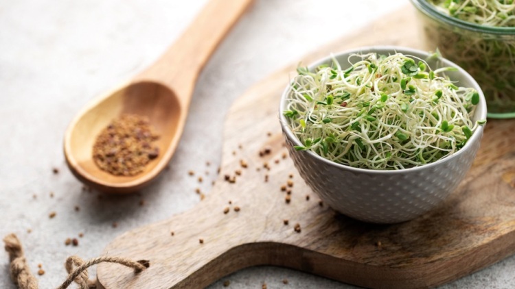 Πώς να φτιάξετε φρέσκα φύτρα στο σπίτι – Ένας πλήρης οδηγός