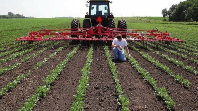 Ολοκληρώθηκαν οι πληρωμές στους αγρότες για το Μέτρο 23, άνω των €175 εκατ.  η νέα στήριξη στον πρωτογενή τομέα