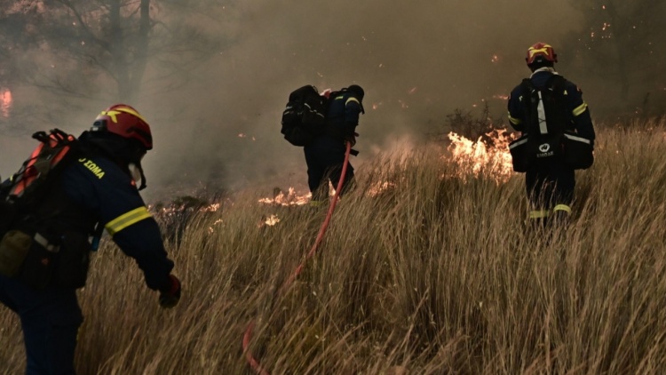Πυρκαγιά σε χαμηλή βλάστηση στην Οινόη – Ήχησε το 112, διακοπή της κυκλοφορίας των οχημάτων στην εθνική οδό Ελευσίνας-Θηβών