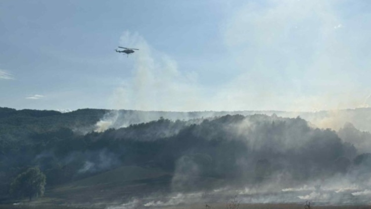 Καλύτερη η εικόνα της φωτιάς στην Αγναντιά Καλαμπάκας - Δείτε φωτογραφίες 
