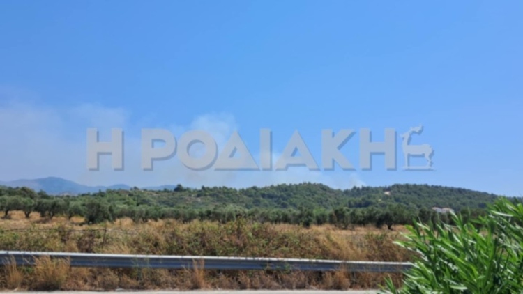 Οριοθετήθηκε η φωτιά στη Ρόδο κοντά στο σημείο της μεγάλης πυρκαγιάς του 2021