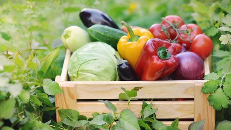 Υπουργείο Αγροτικής Ανάπτυξης: Πρόστιμα άνω των 56.000 ευρώ σε φορείς πιστοποίησης βιολογικών προϊόντων