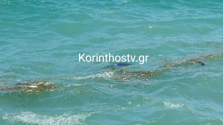 Κόρινθος: Αυτοκίνητο έπεσε στη θάλασσα, ανασύρθηκε χωρίς τις αισθήσεις του ο οδηγός