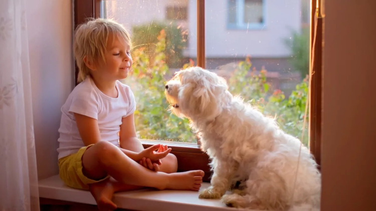 Νέα μελέτη αποκαλύπτει 4 υποτύπους αυτισμού με μοναδικά χαρακτηριστικά – Ποιοι είναι