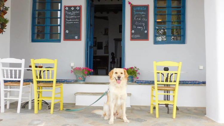 Οι ρομαντικοί «Αθηναίοι» πίσω από το Τριανταράκι της Τήνου
