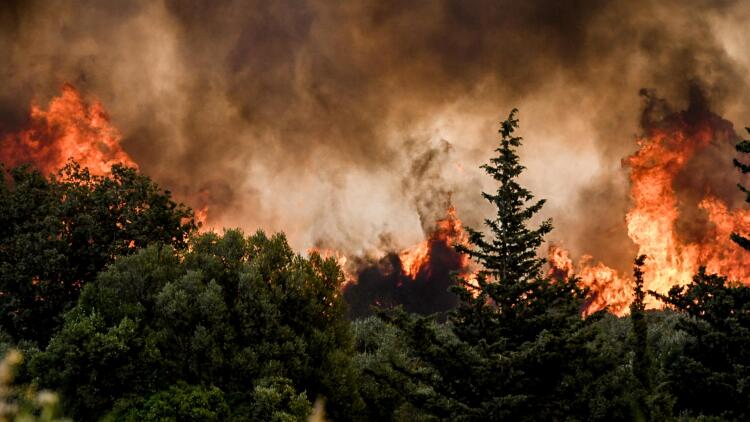 Φωτιά στην Αχαΐα: Καίγονται εργοστάσια και βιοτεχνίες, εκκενώθηκαν μεγάλοι οικισμοί και δύο κέντρα Υγείας