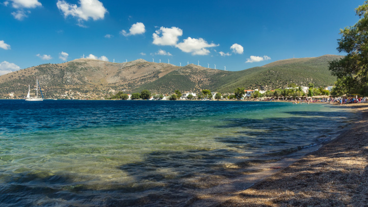 Τα ψάρια στον Αλμυροπόταμο της Εύβοιας ξεπηδούσαν από το νερό προς τη στεριά - Δείτε βίντεο 