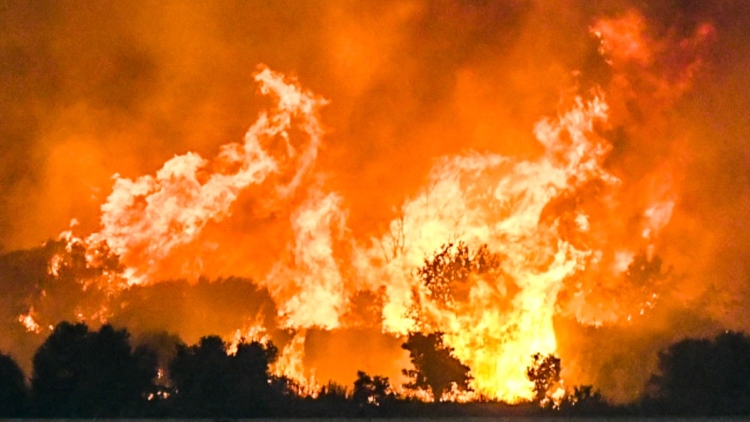 Νύχτα αγωνίας στην Αχαΐα - Μάχη με τις πολλαπλές εστίες, δείτε βίντεο