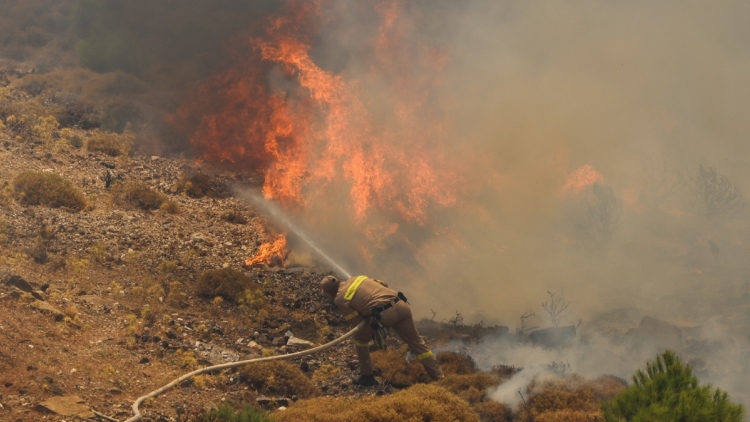 Ισχυρός πυρομετεωρολογικός κίνδυνος τις επόμενες δύο μέρες - Συνθήκες «Hot Dry Windy»  στα βορειοανατολικά της χώρας