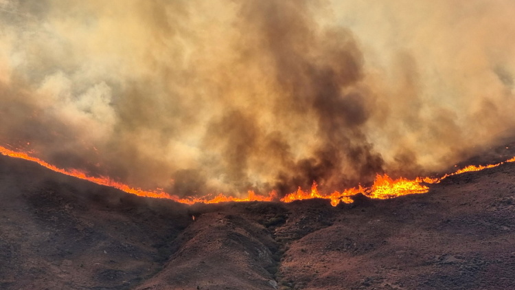 Πληρώθηκαν οι πυρόπληκτες επιχειρήσεις από τις περσινές φωτιές στη Χίο
