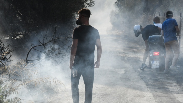 Γεωργιάδης για τη σύλληψη του 19χρονου για τον εμπρησμό στα Συχαινά: Μόνη λύση η παραδειγματική τιμωρία των εμπρηστών