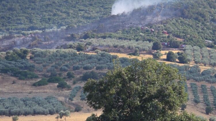 Καλύτερη η εικόνα της φωτιάς σε δάσος στην Πελεή Αργολίδας - Σηκώθηκαν 7 εναέρια, δείτε βίντεο