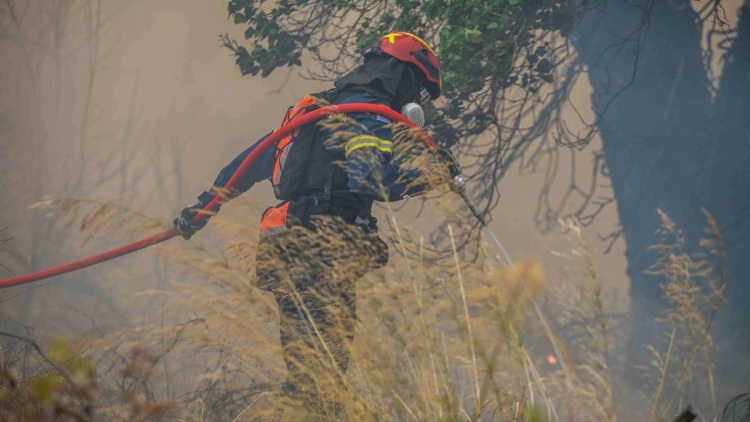 Φωτιά τώρα στο Κρυονέρι Αττικής, επιχειρούν 6 οχήματα με 12 πυροσβέστες
