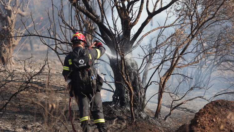 Tρεις συλλήψεις για υπόθεση κατ’ εξακολούθηση εμπρησμών από πρόθεση στη Μεταμόρφωση Μεσσηνίας
