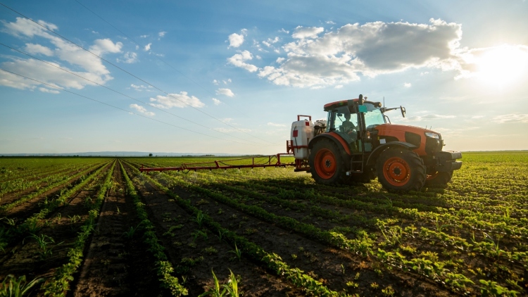 Σκάνδαλο στη Βόρεια Μακεδονία με τις κοινοτικές επιδοτήσεις στον αγροτικό τομέα - Πέντε συλλήψεις για χρηματισμό
