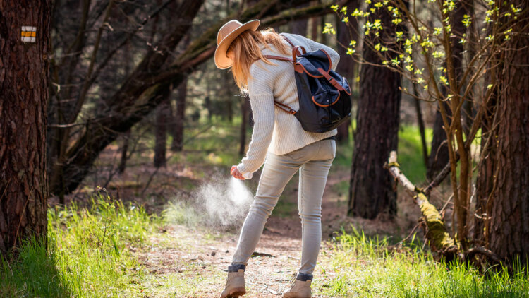 Χριστούγεννα με... κουνούπια - «Πλέον παραμένουν δραστήρια και τον χειμώνα»