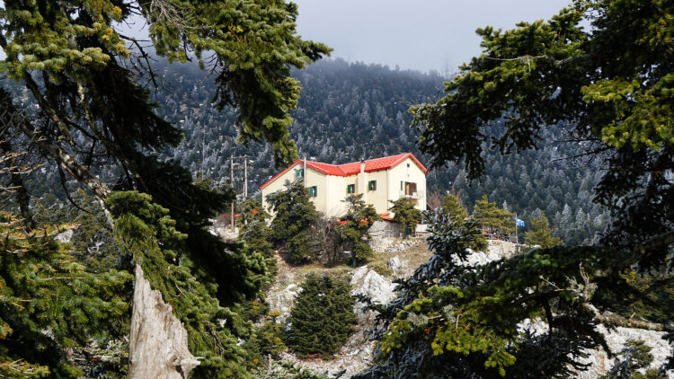 Πώς το Καταφύγιο Μπάφι θα γίνει μονάδα-πρότυπο στο είδος του για την ελληνική αγορά